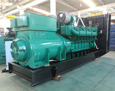 德科1200KW/10.5KV高壓發(fā)電機(jī)應(yīng)用于海南某養(yǎng)殖業(yè)項(xiàng)目